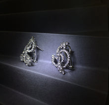 Load image into Gallery viewer, Dia Earrings by RJ
